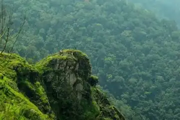 embrace nature in Ponmudi