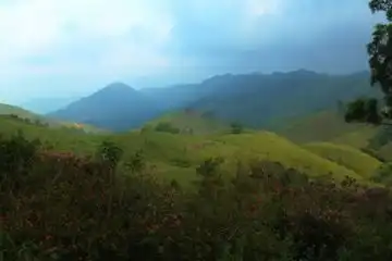 enchanting hills of Vagamon