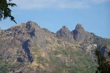 Flora and fauna of Girnar Hills
