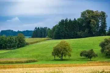 local culture of Nagrakata