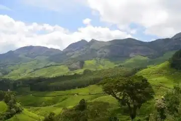 the magic of Munnar
