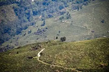 ultimate guide to visit Takdah