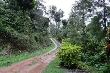 wonders of Madikeri