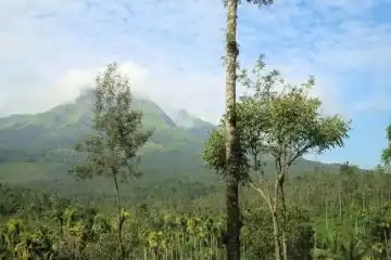 adventure and relaxation in Thekkady