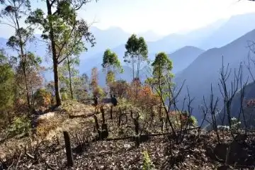 serenity of Vattakanal
